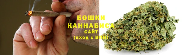 шишки Алексеевка