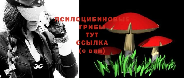 мяу мяу мука Пролетарск