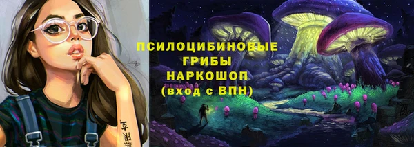 ешки Алексин