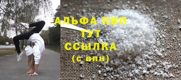 твердый Протвино