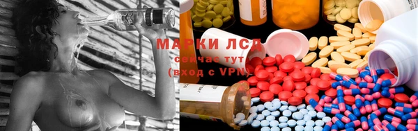 шишки Алексеевка