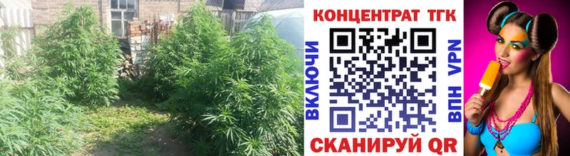 Дистиллят ТГК жижа  купить наркоту  Истра 