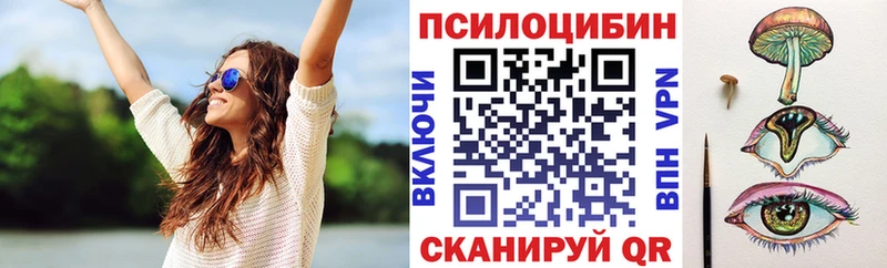 Галлюциногенные грибы Psilocybine cubensis  Истра 